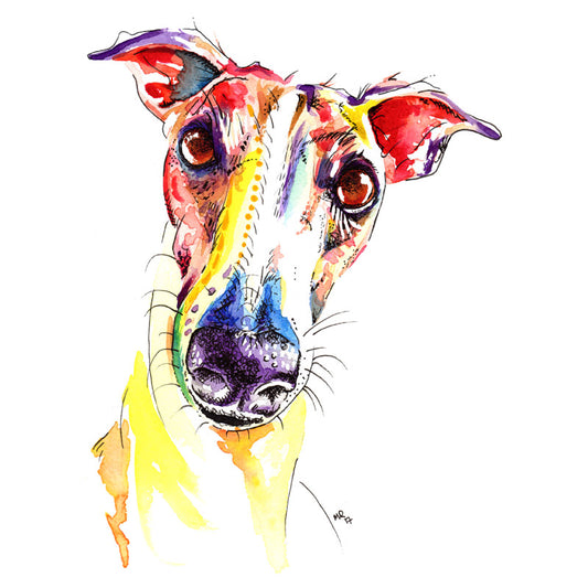 Whippet Art Prints