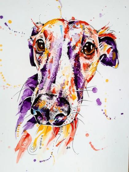 Whippet Dog Portrait