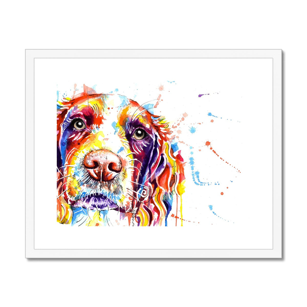 Springer Spaniel Framed Art Print