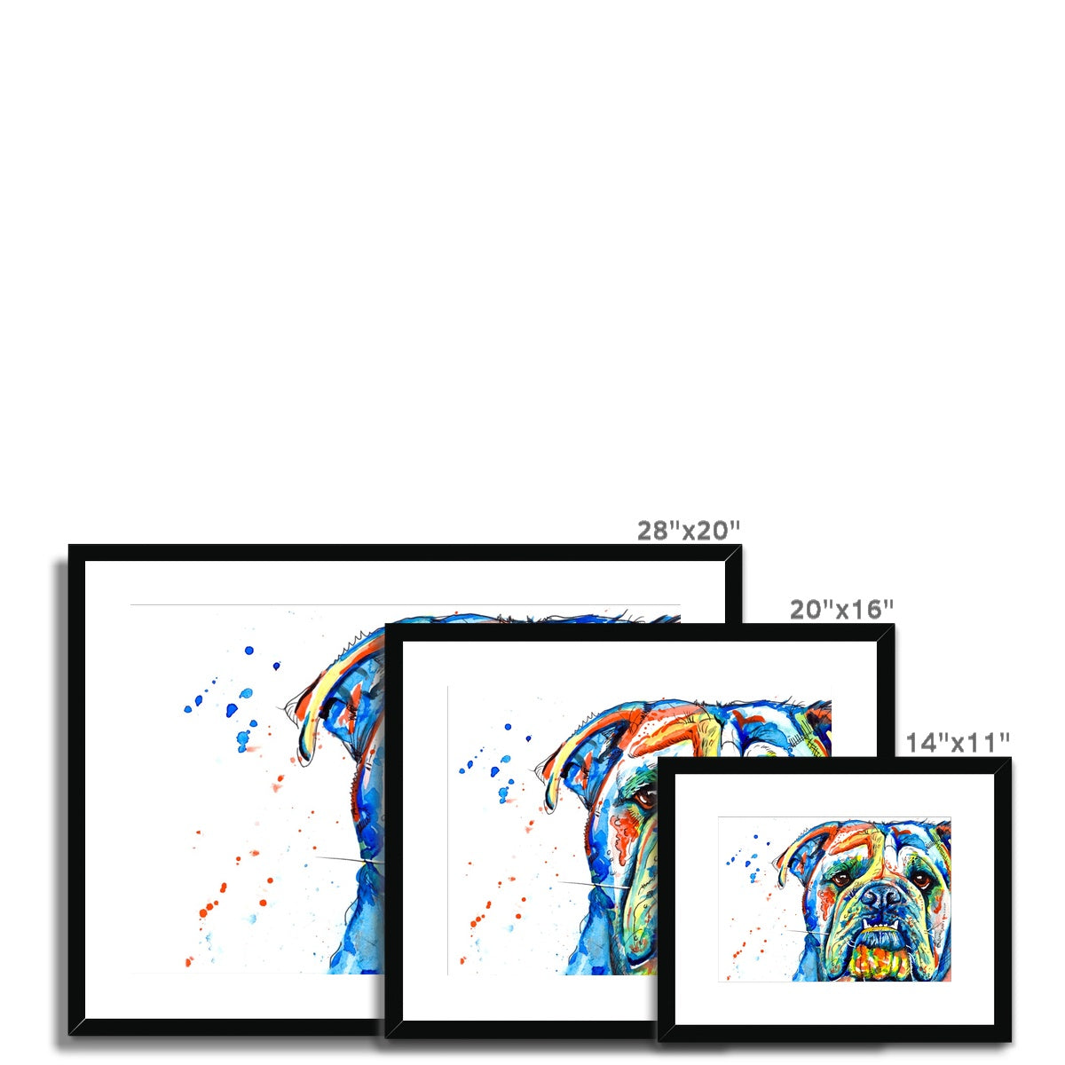 British Bulldog Framed & Mounted Art Print