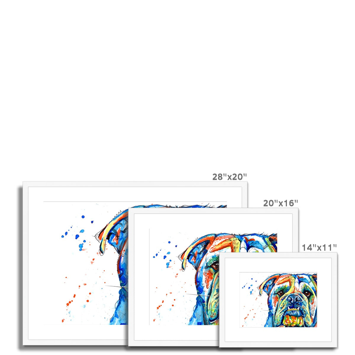 British Bulldog Framed & Mounted Art Print