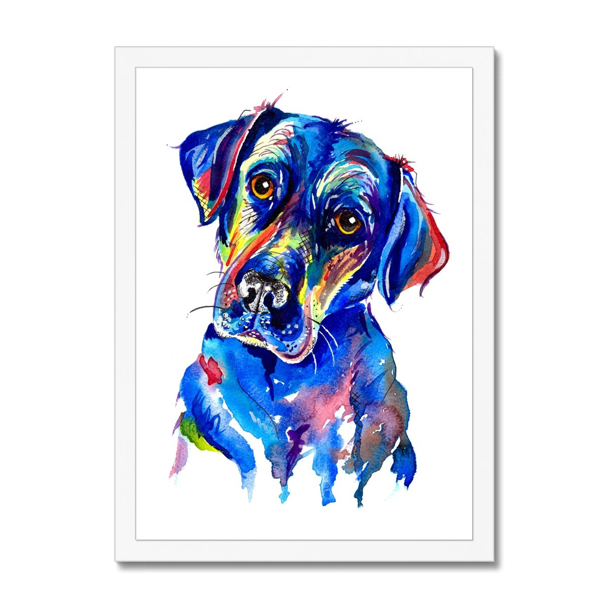 Labrador Framed Print