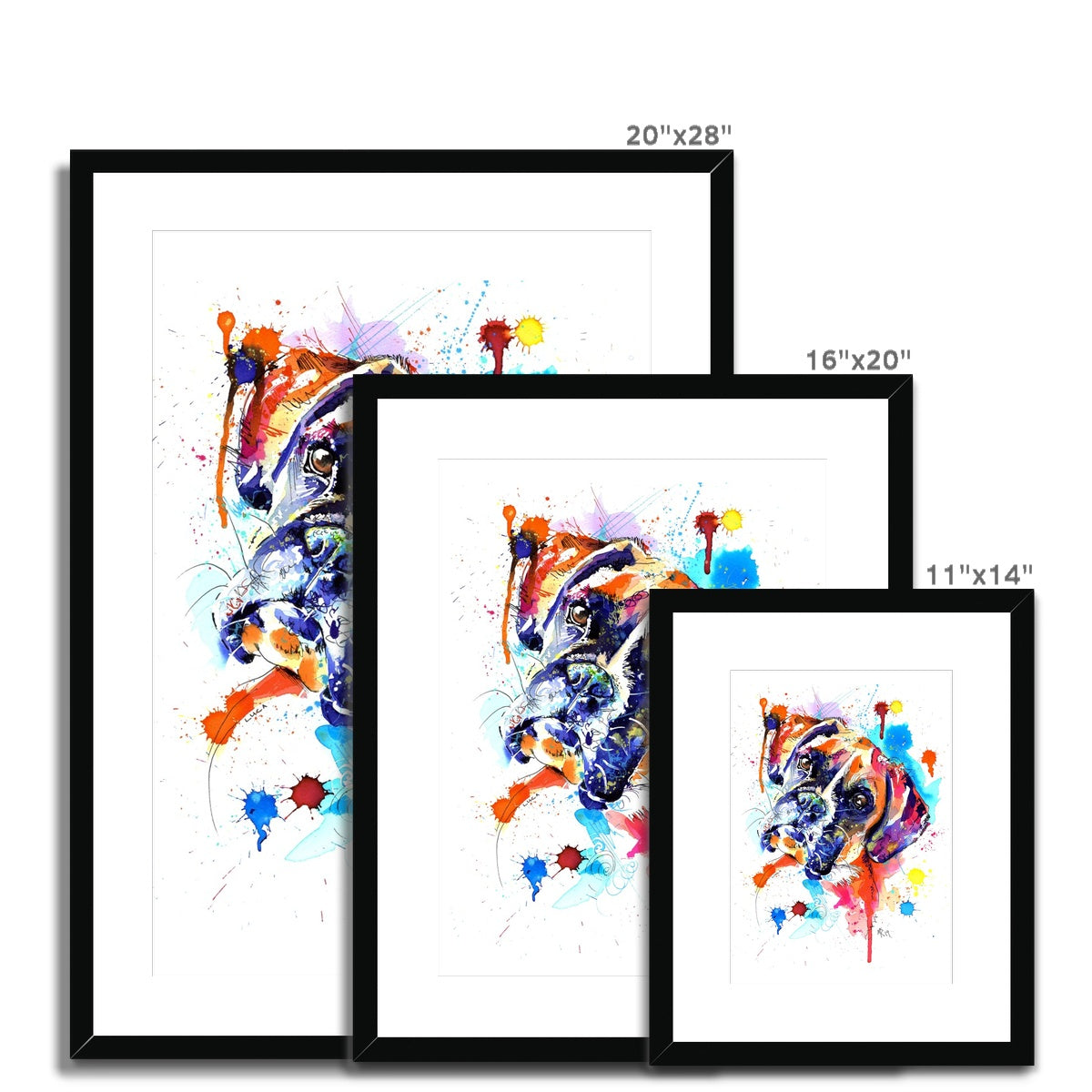 Boxer Dog Framed & Mounted Art Print