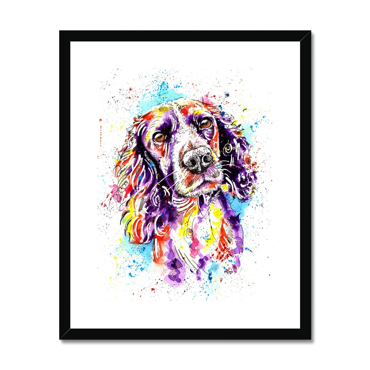 Springer Spaniel Framed Art Print