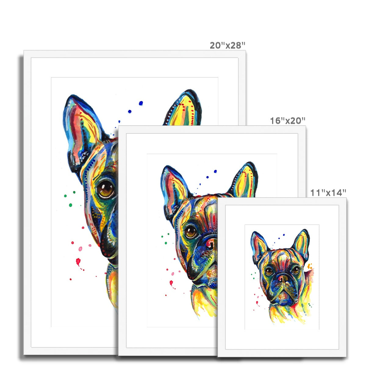 French Bulldog Framed & Mounted Art Print