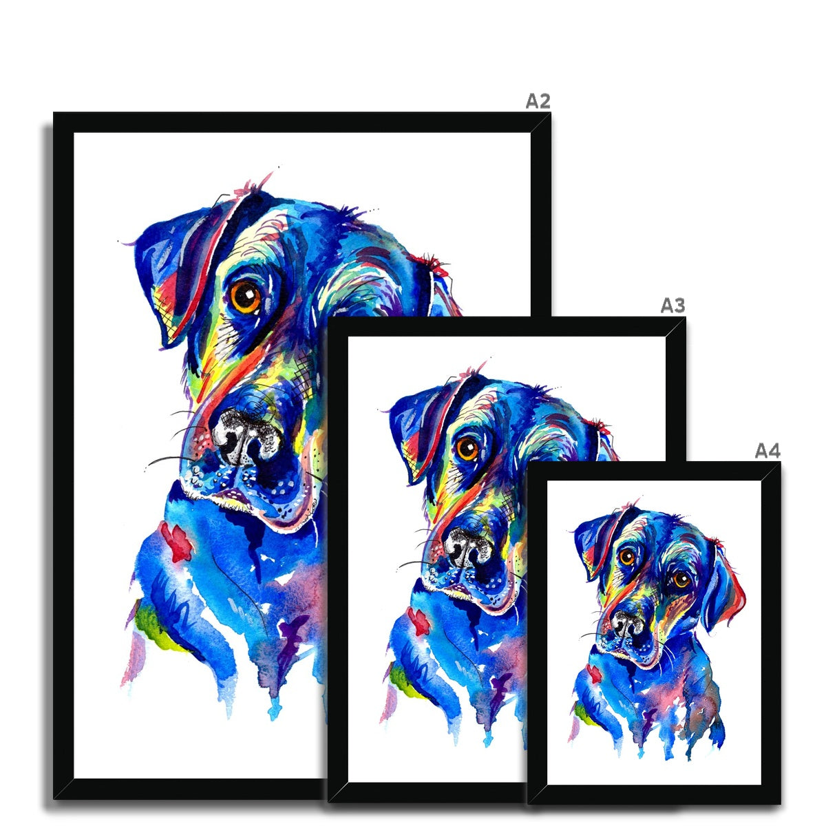 Labrador Framed Print Gifts