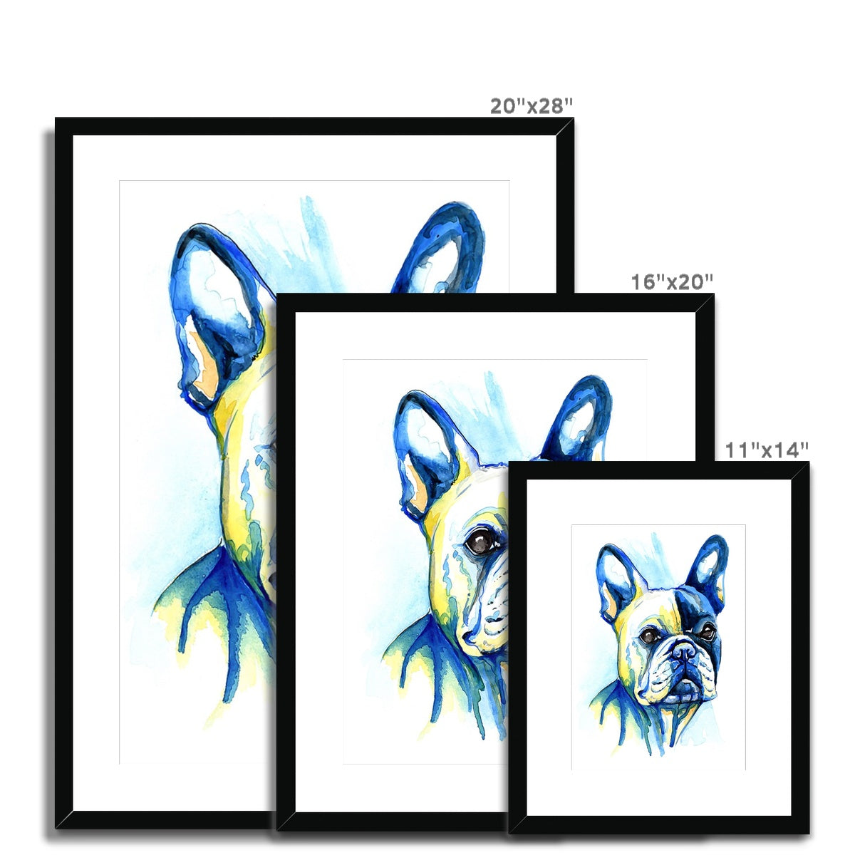 French Bulldog Framed & Mounted Art Print