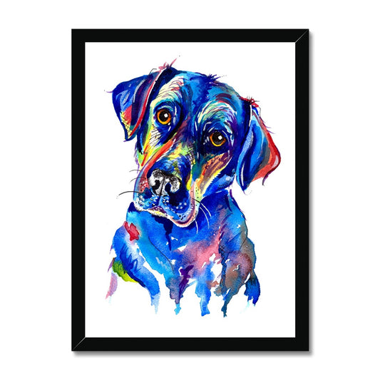 Labrador Framed Print - 'Look into my eyes'