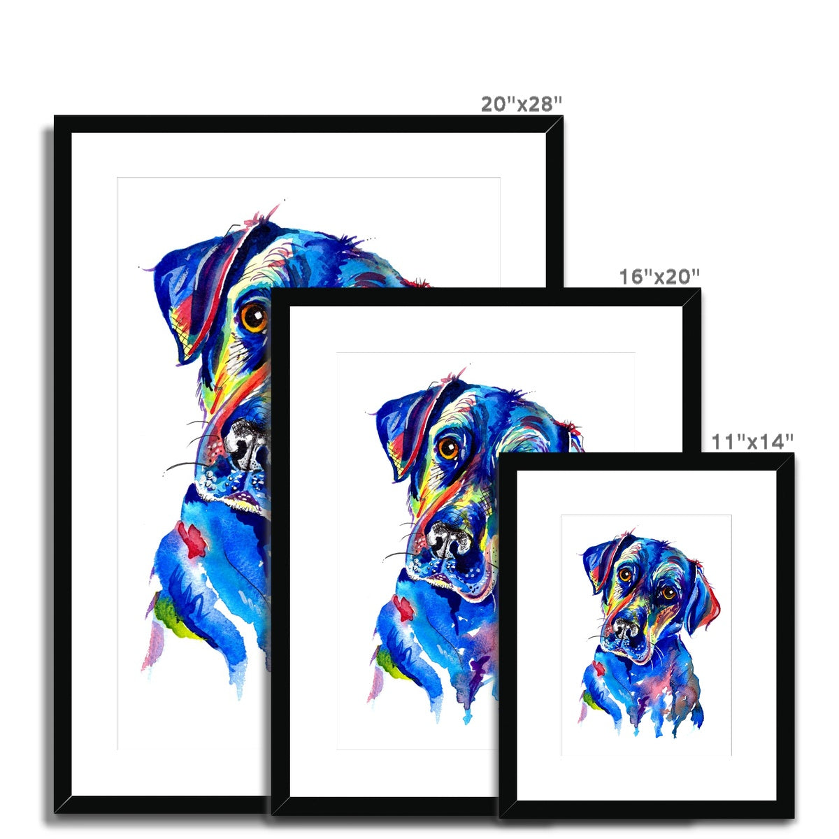 Labrador Framed & Mounted Print - 'Look into my eyes'