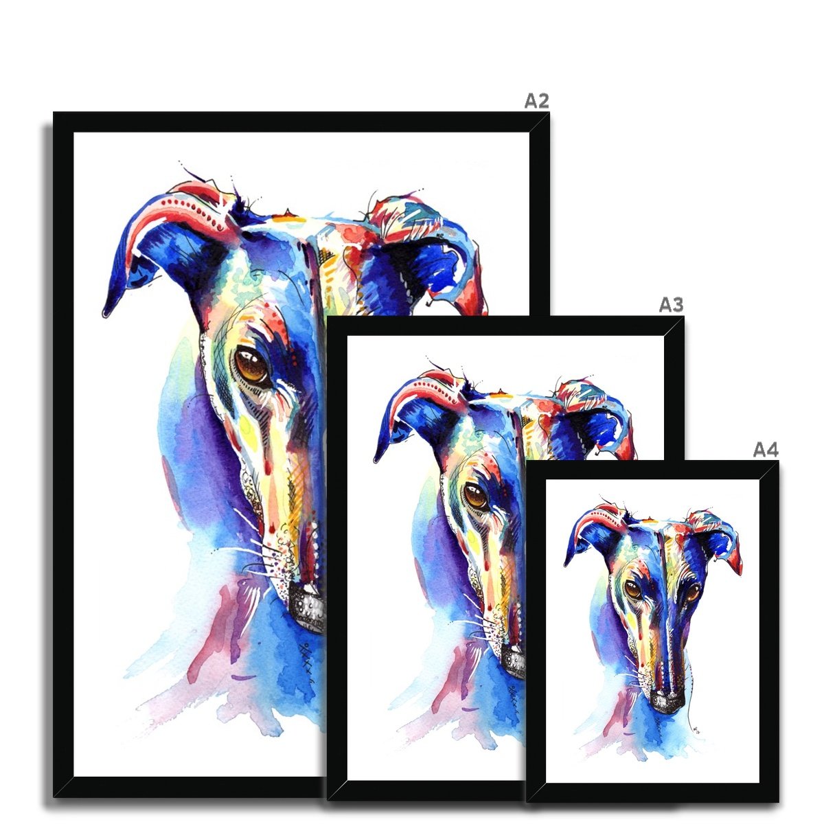 Greyhound Framed Prints size guide
