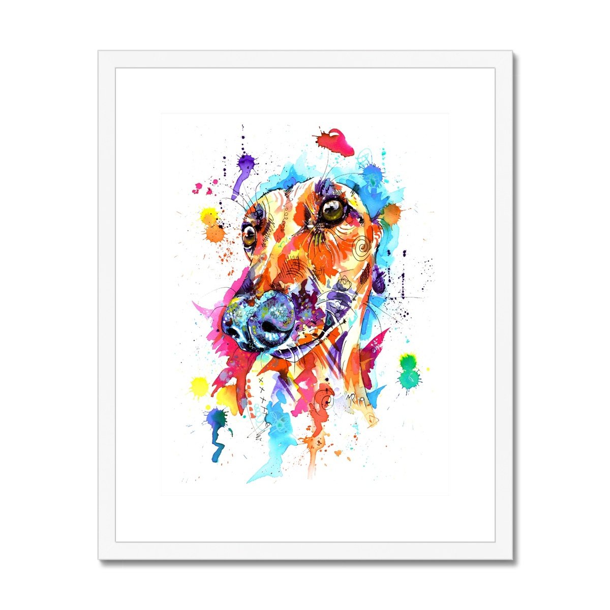 Greyhound Framed & Mounted Art Print