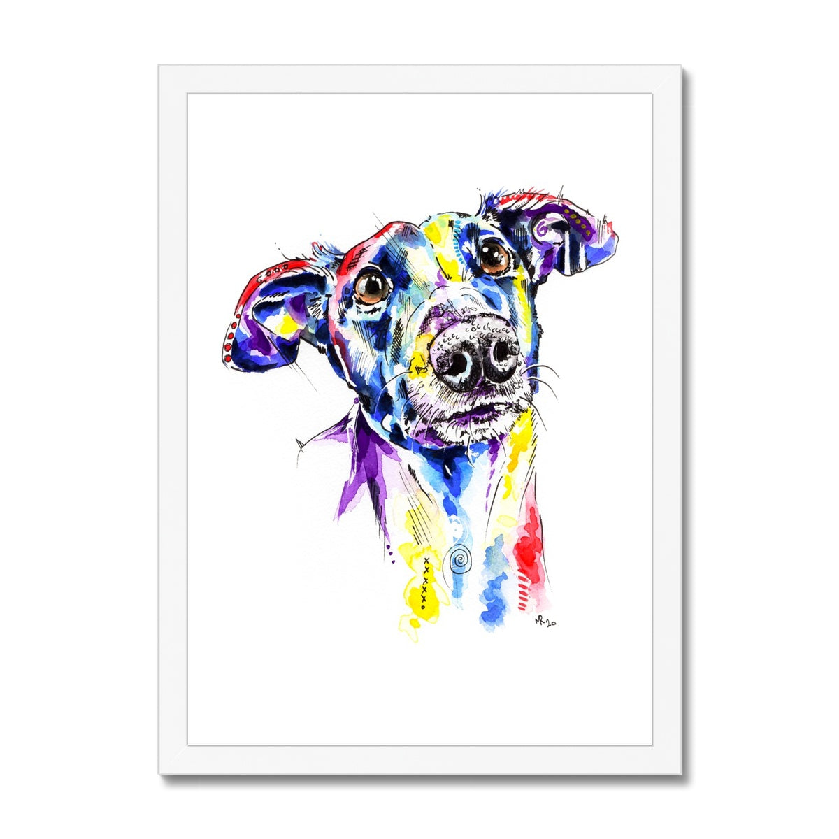 Greyhound Framed Prints