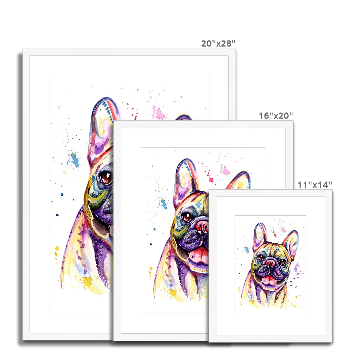 French Bulldog Framed & Mounted Art Print