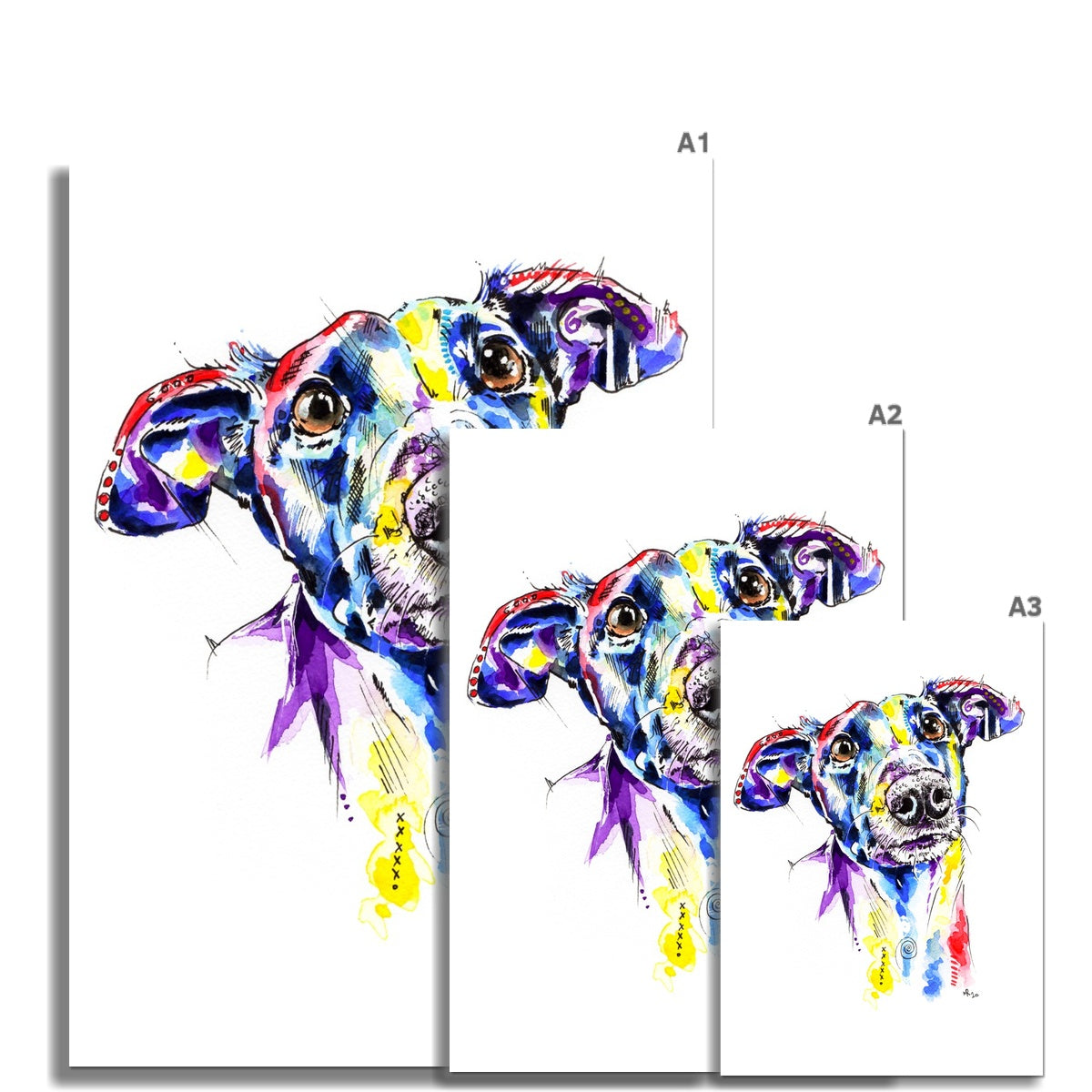 Greyhound Art Prints