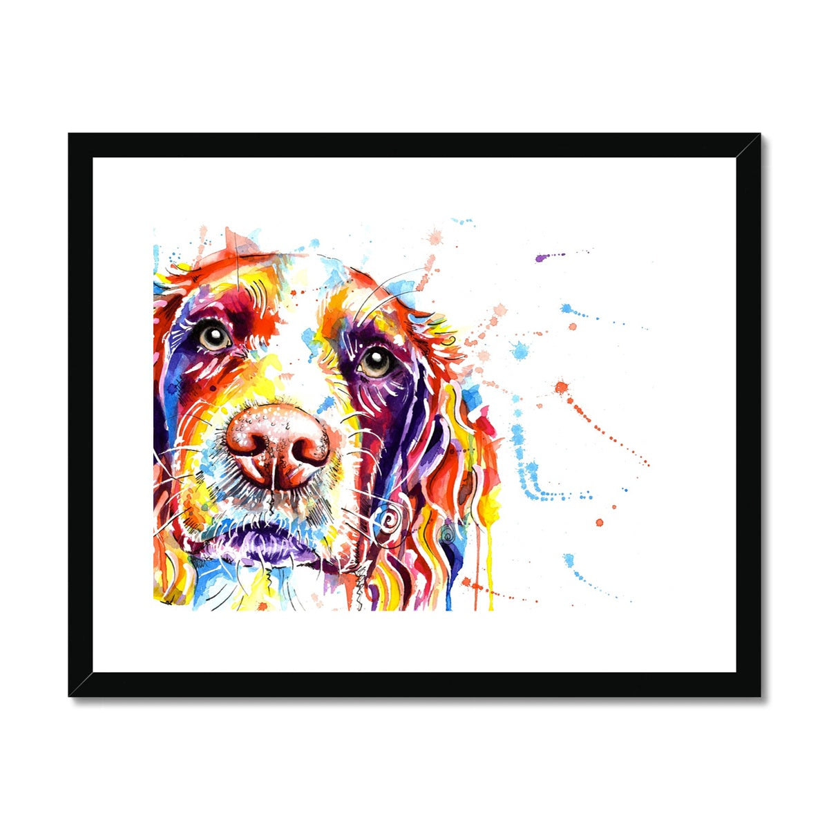 Springer Spaniel Framed Art Print