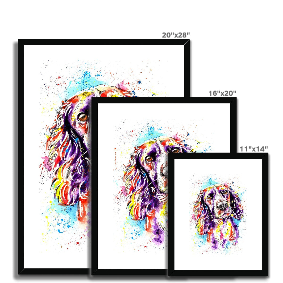 Springer Spaniel Framed Art Print