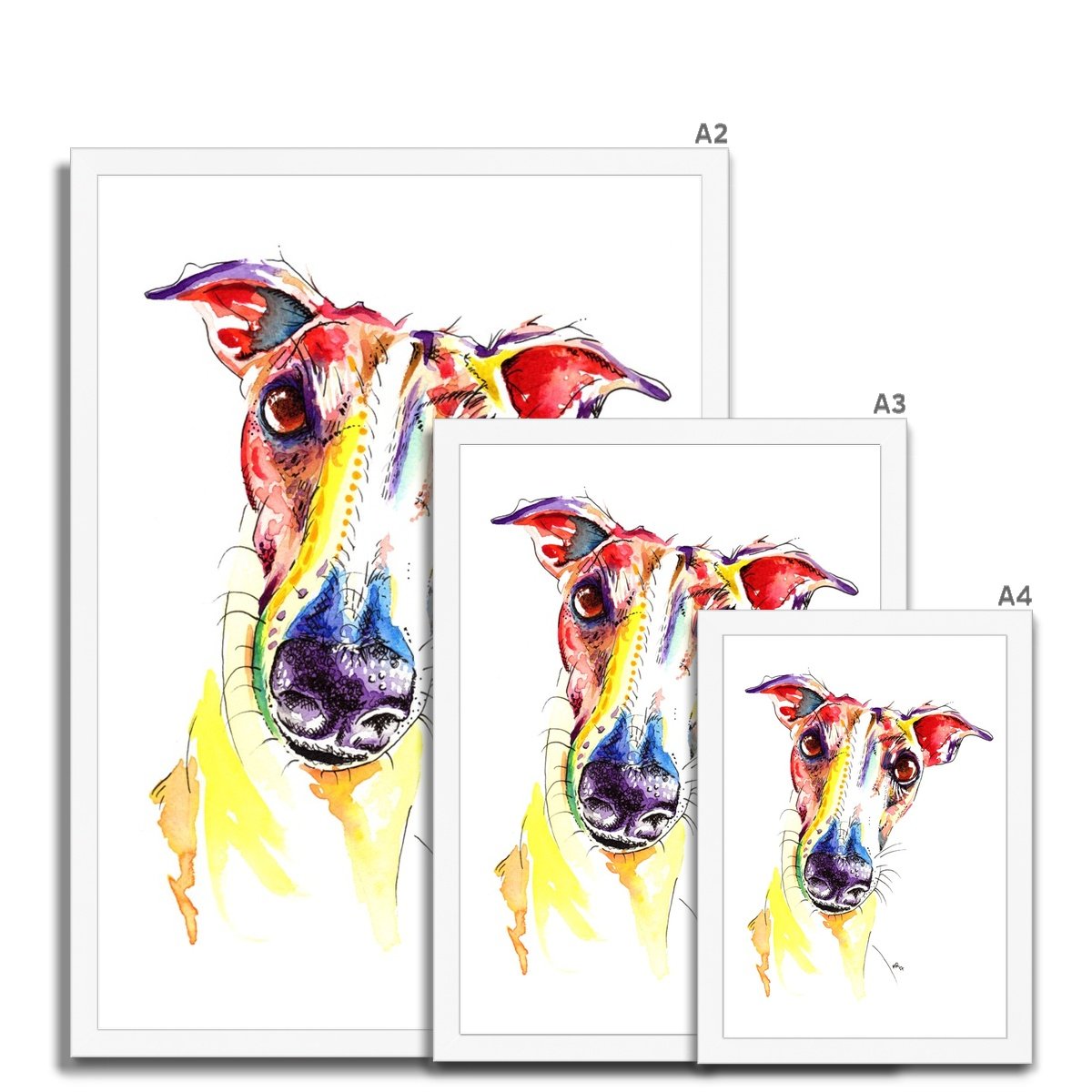 Framed Greyhound Prints