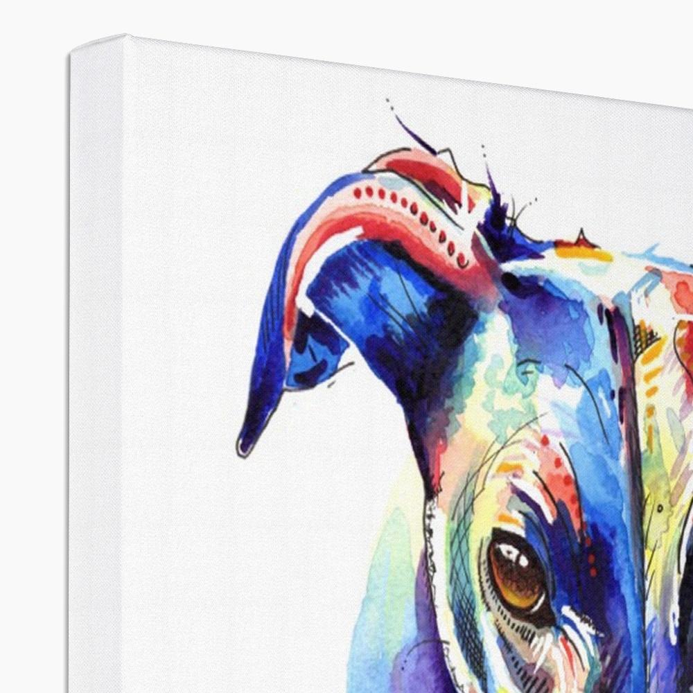 Greyhound Canvas Prints top view