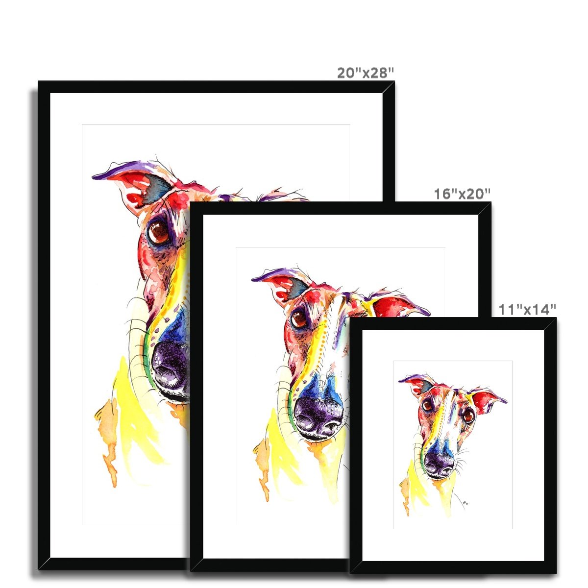 Greyhound Framed & Mounted Print