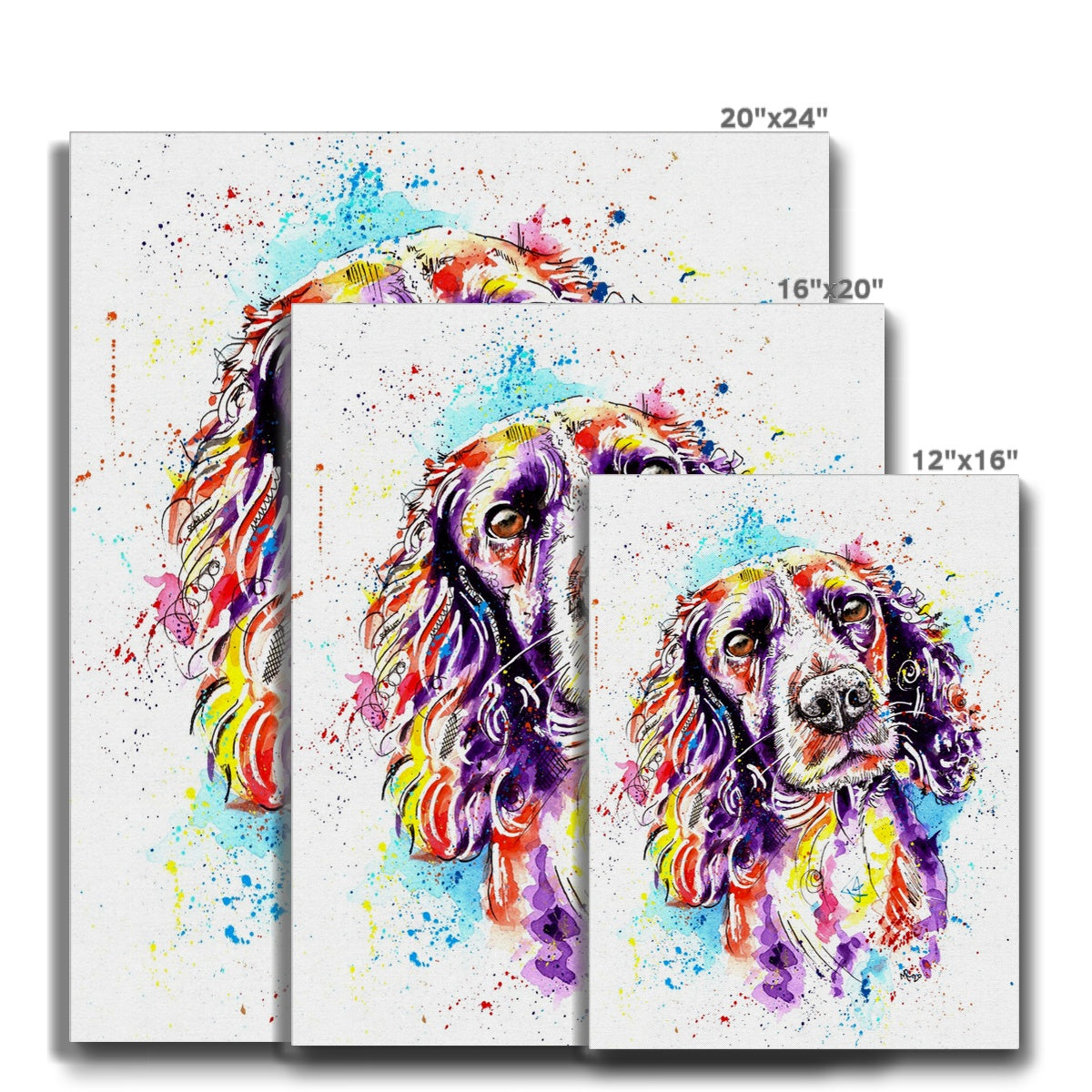 Springer Spaniel Art Prints