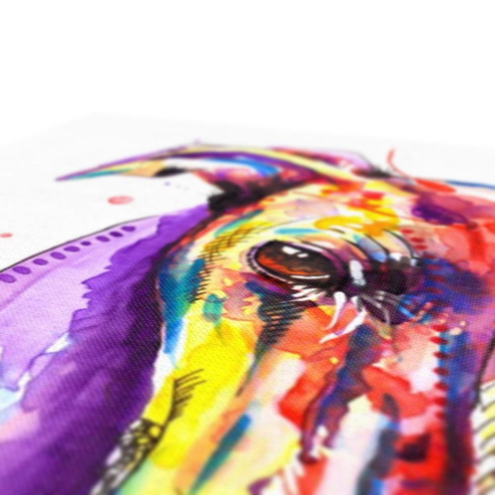 greyhound canvas prints close up