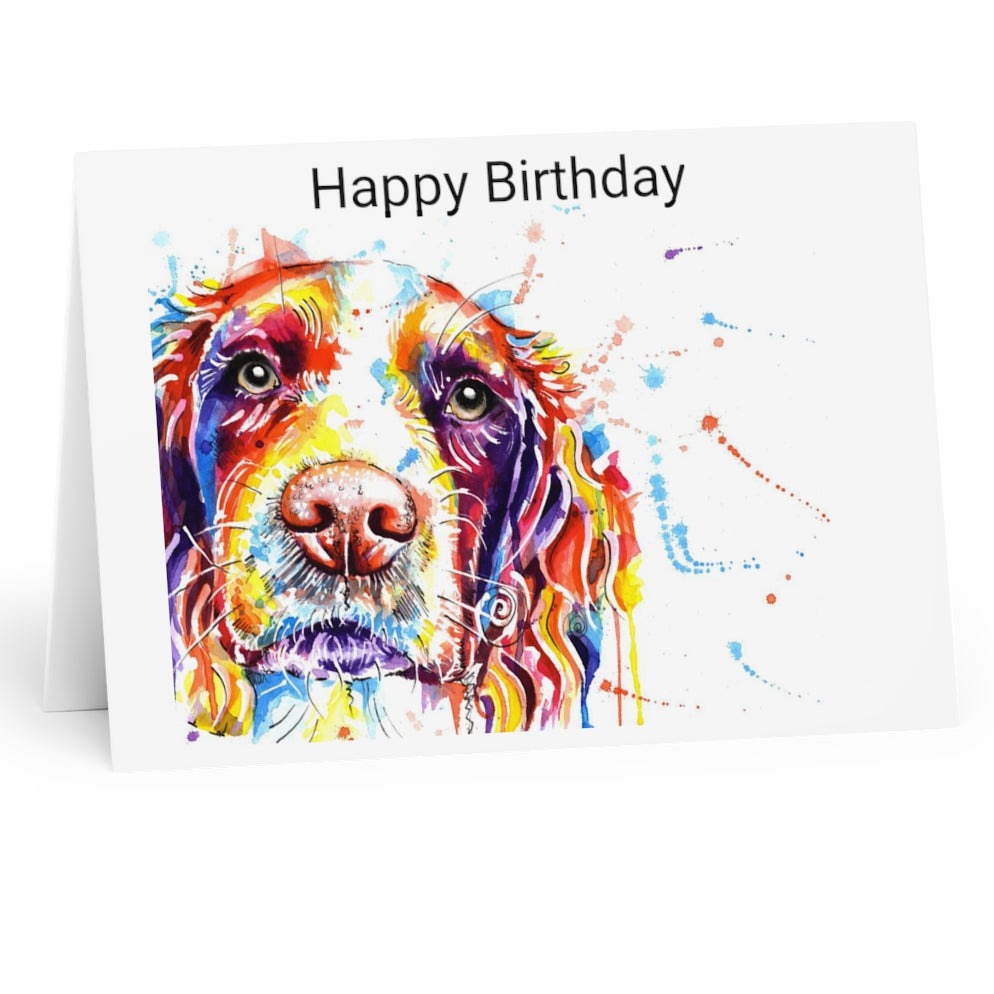 Springer Spaniel Birthday Cards
