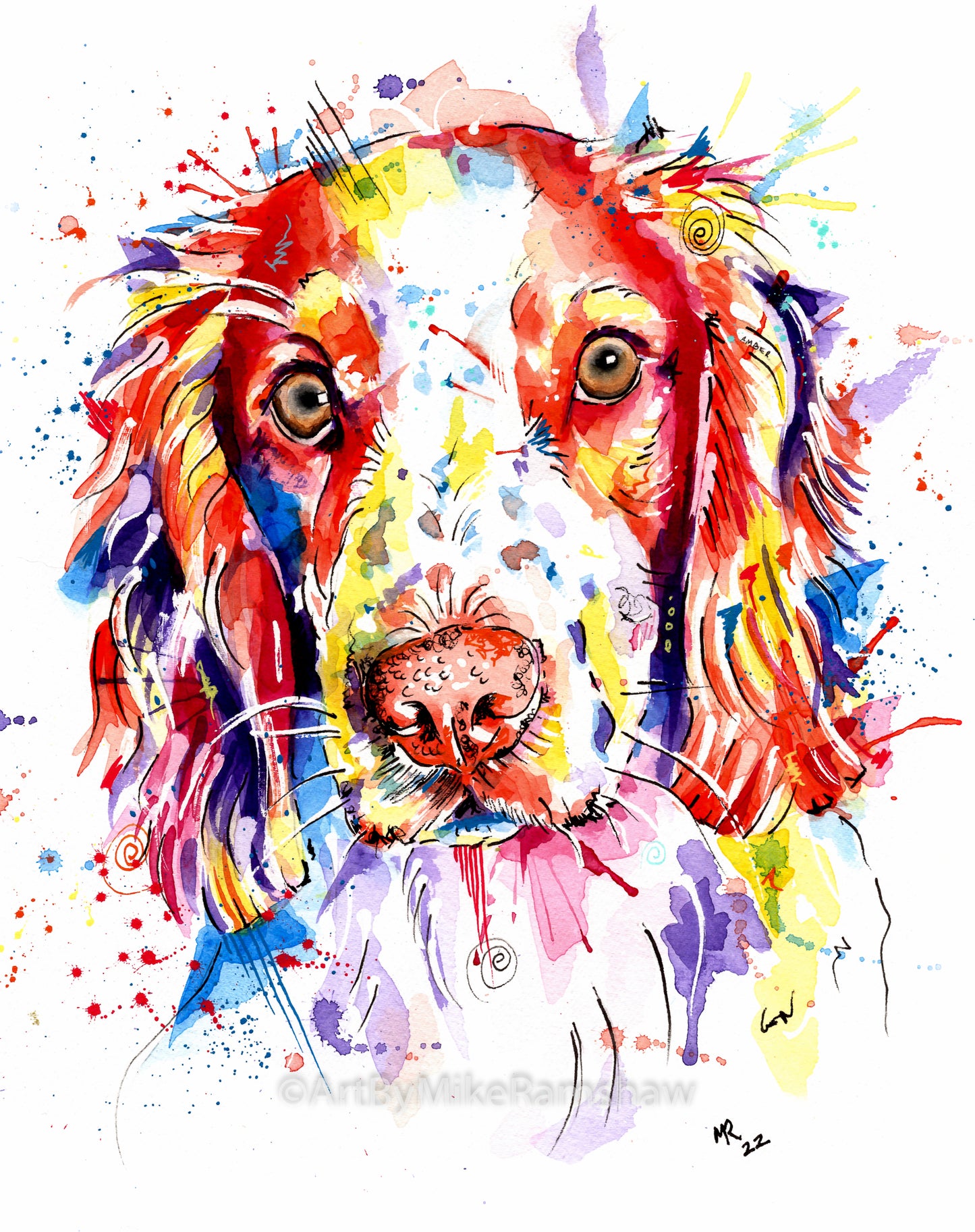 Custom Pet Portraits - Colourful or Realistic