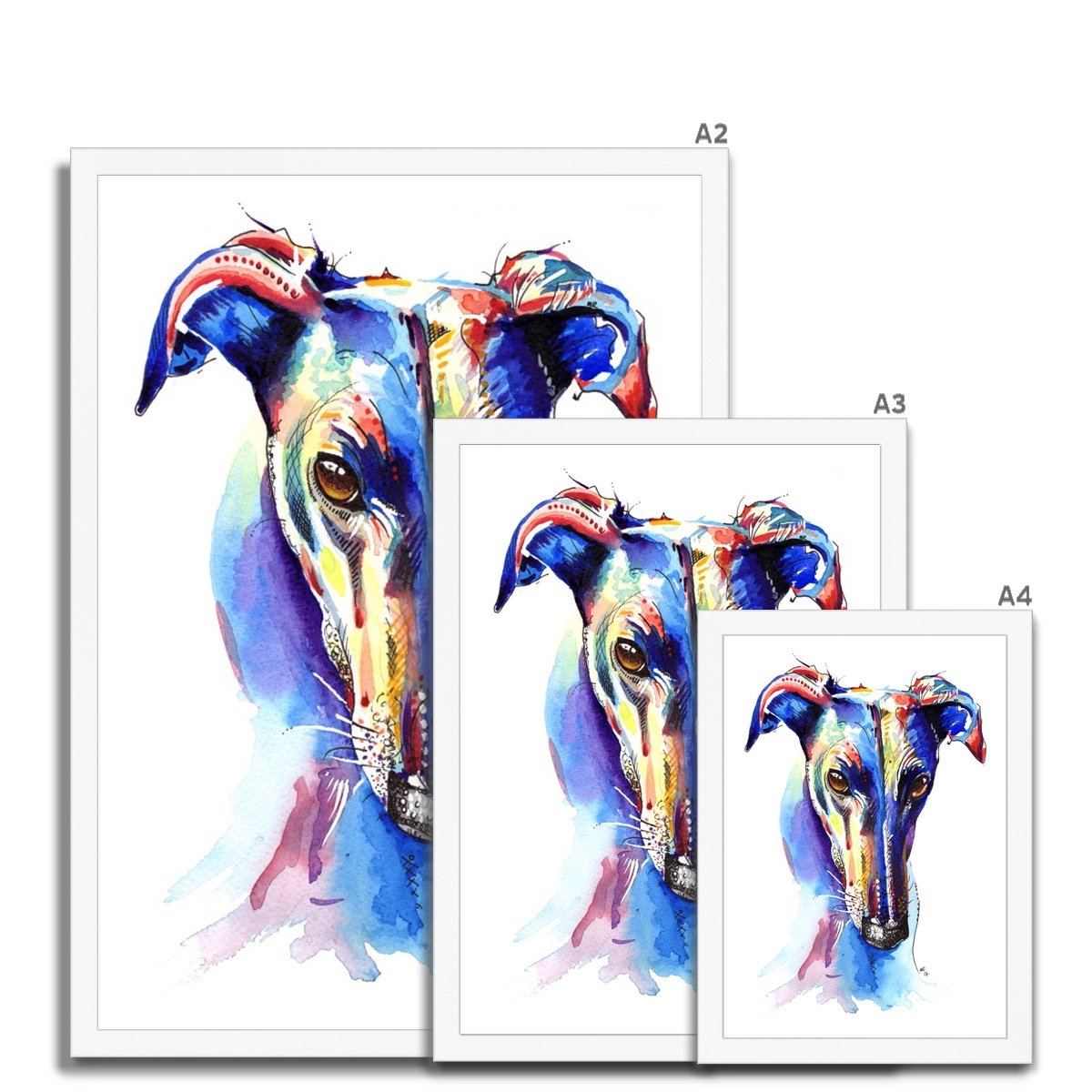 Greyhound Framed Prints size guide