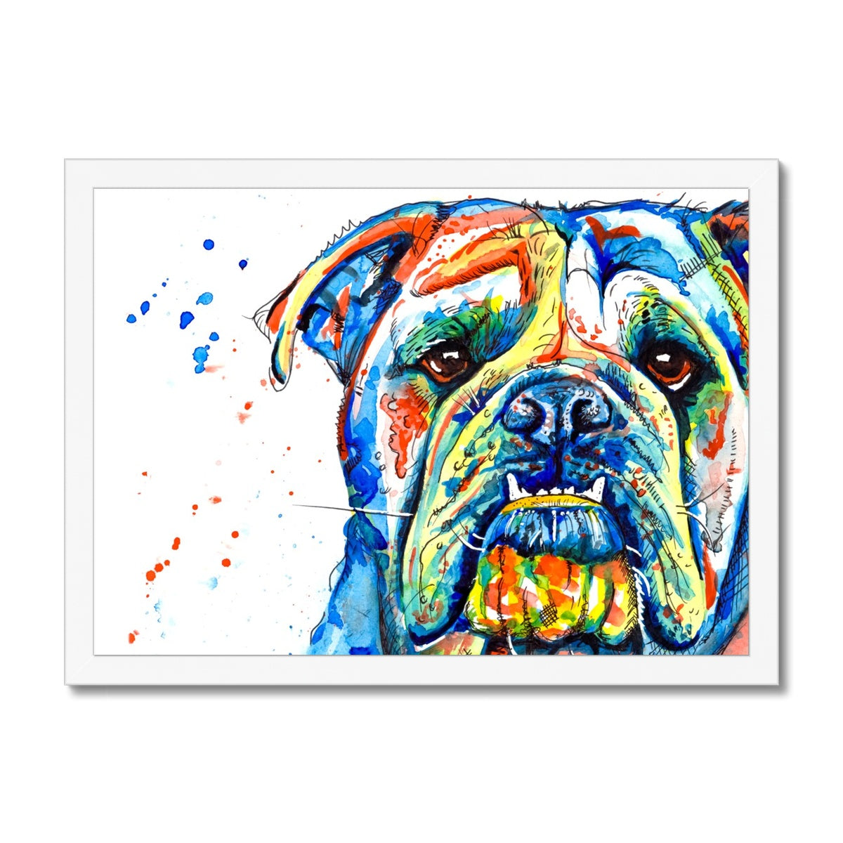 British Bulldog Framed Print