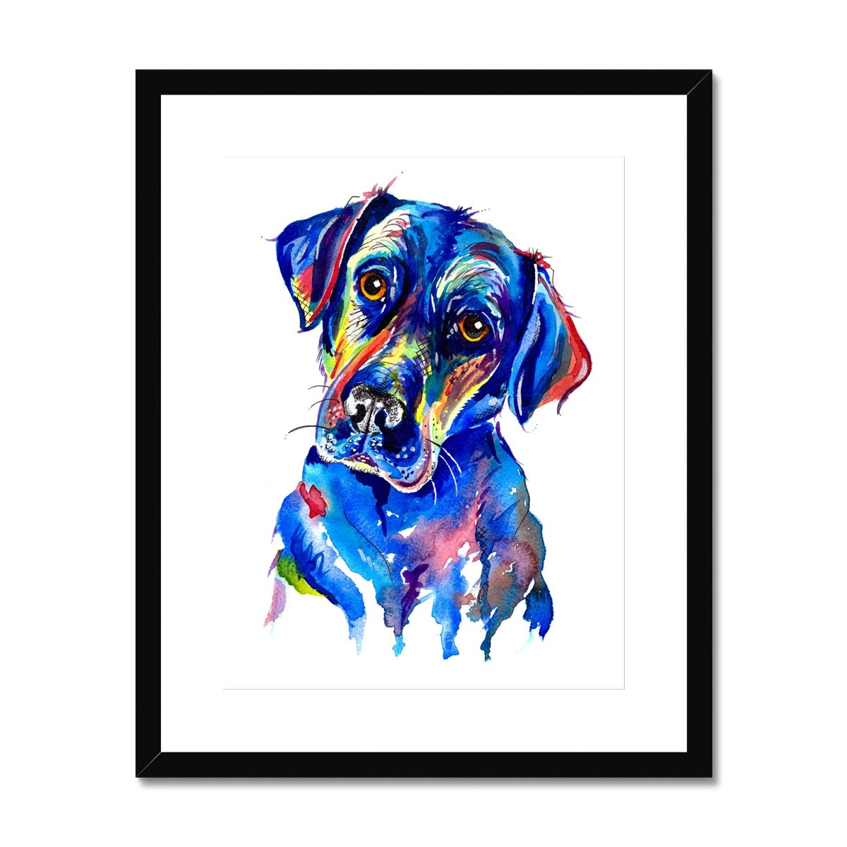 Labrador Framed & Mounted Print - 'Look into my eyes'
