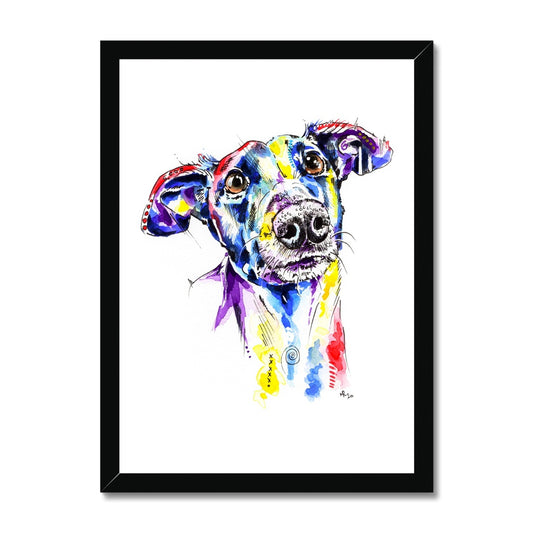 Greyhound Framed Prints - 'Rhea'