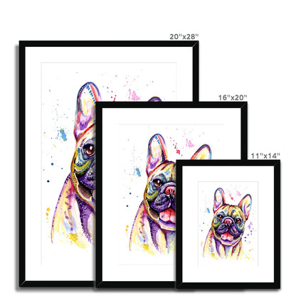 French Bulldog Framed & Mounted Art Print