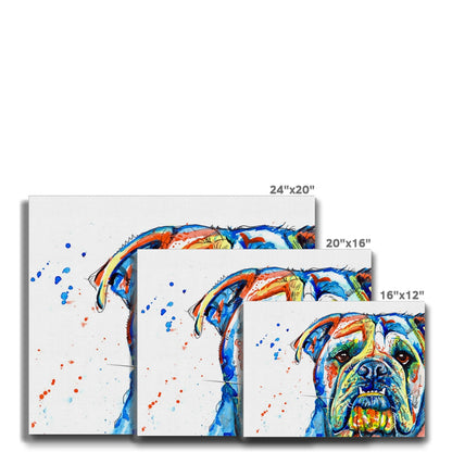 British Bulldog Canvas Prints