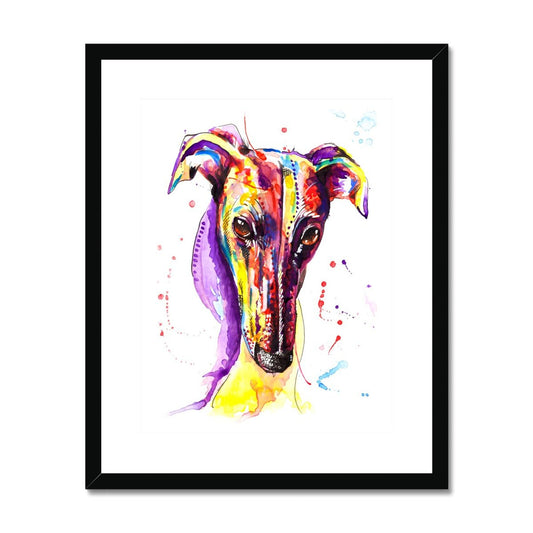 Greyhound Framed & Mounted Art Print
