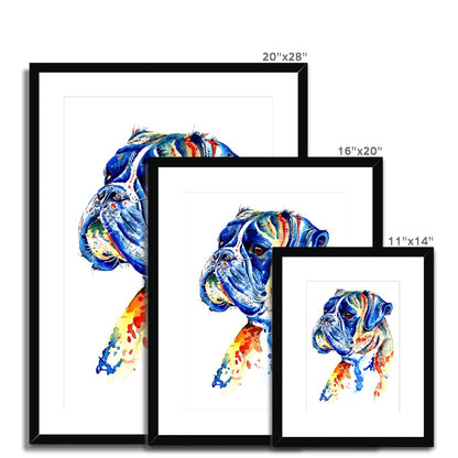 French Bulldog Framed & Mounted Art Print