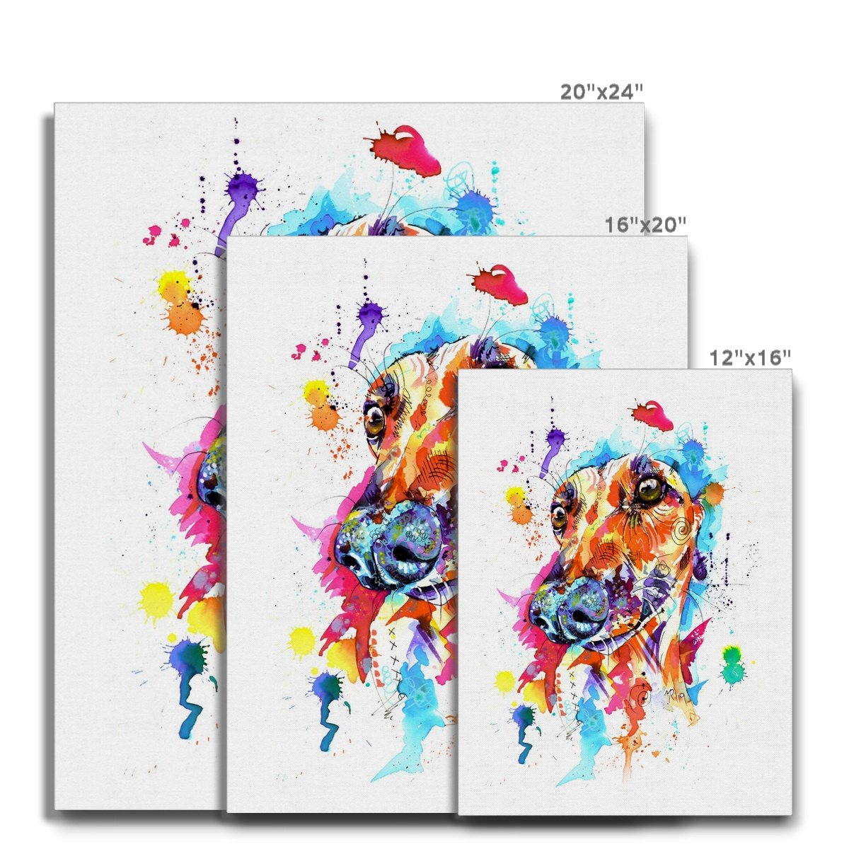 Greyhound Canvas Print Wall Art size guide