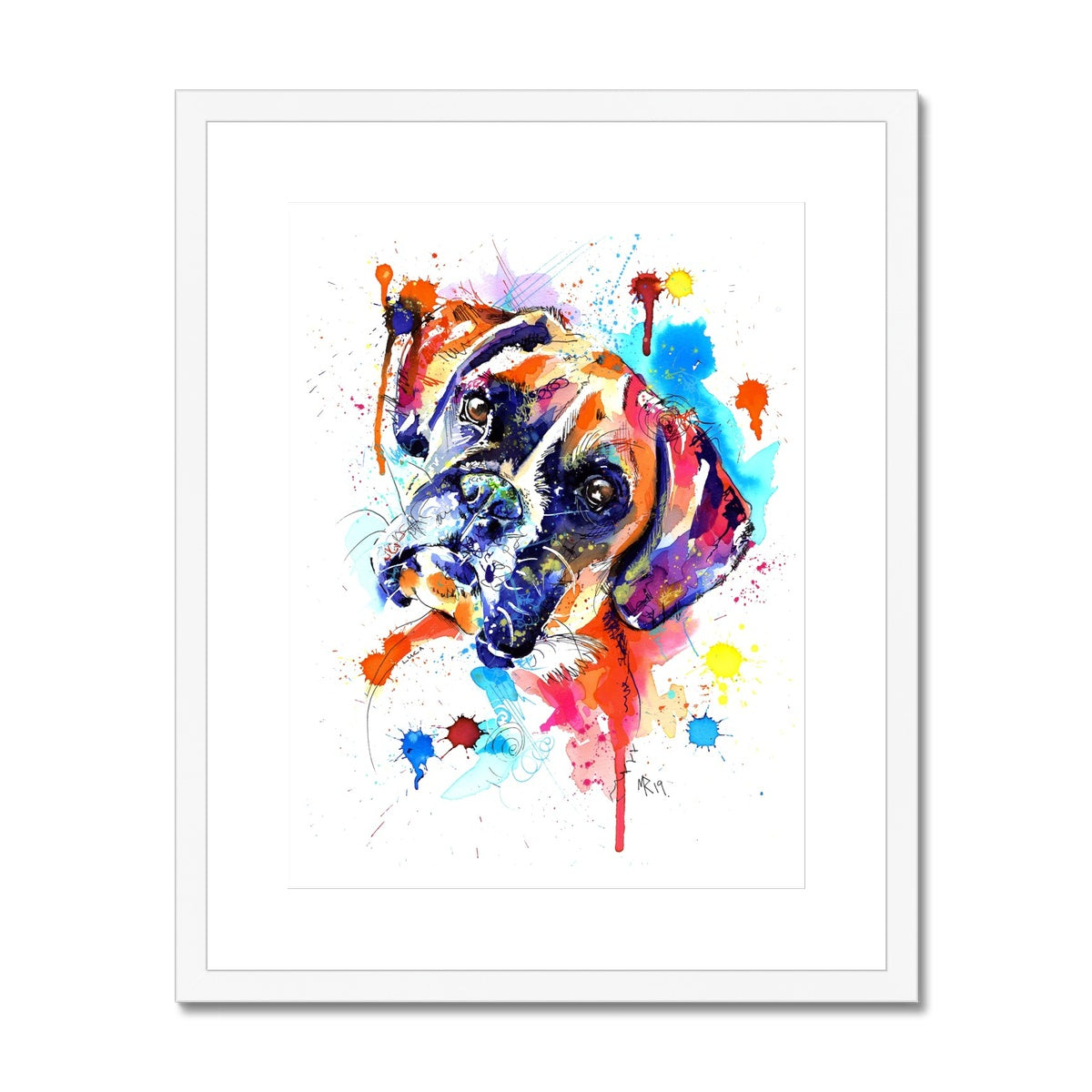 Boxer Dog Framed & Mounted Art Print