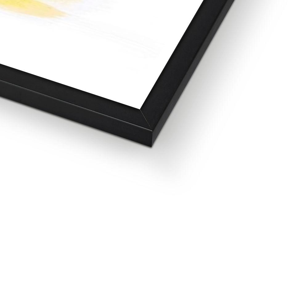 framed print greyhound close up