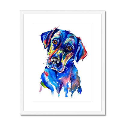 Labrador Framed & Mounted Print - 'Look into my eyes'