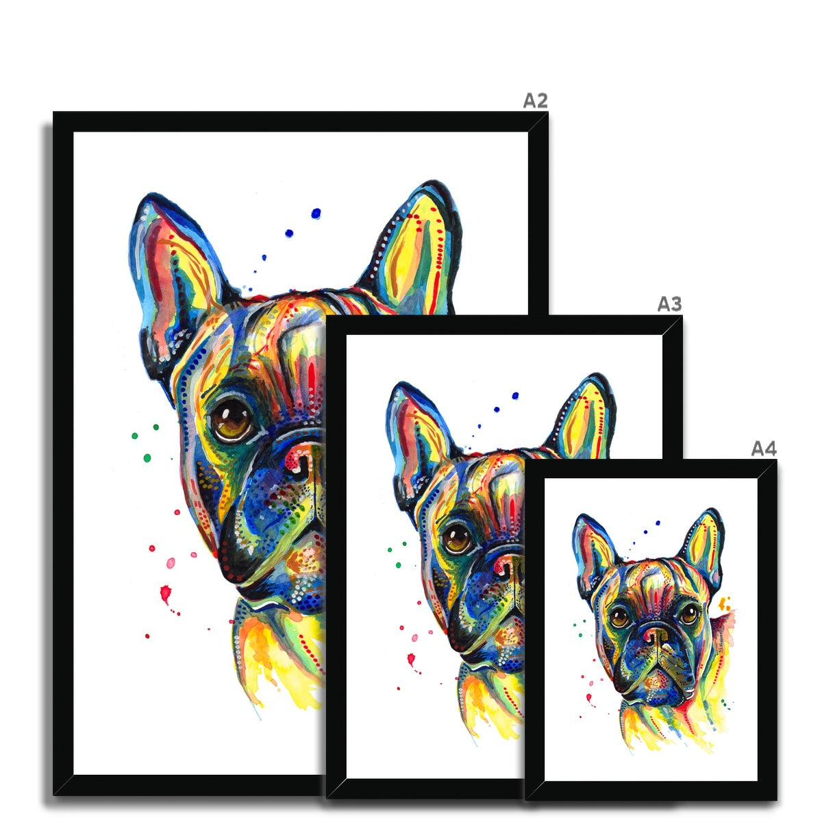 French Bulldog framed Print Size Guide
