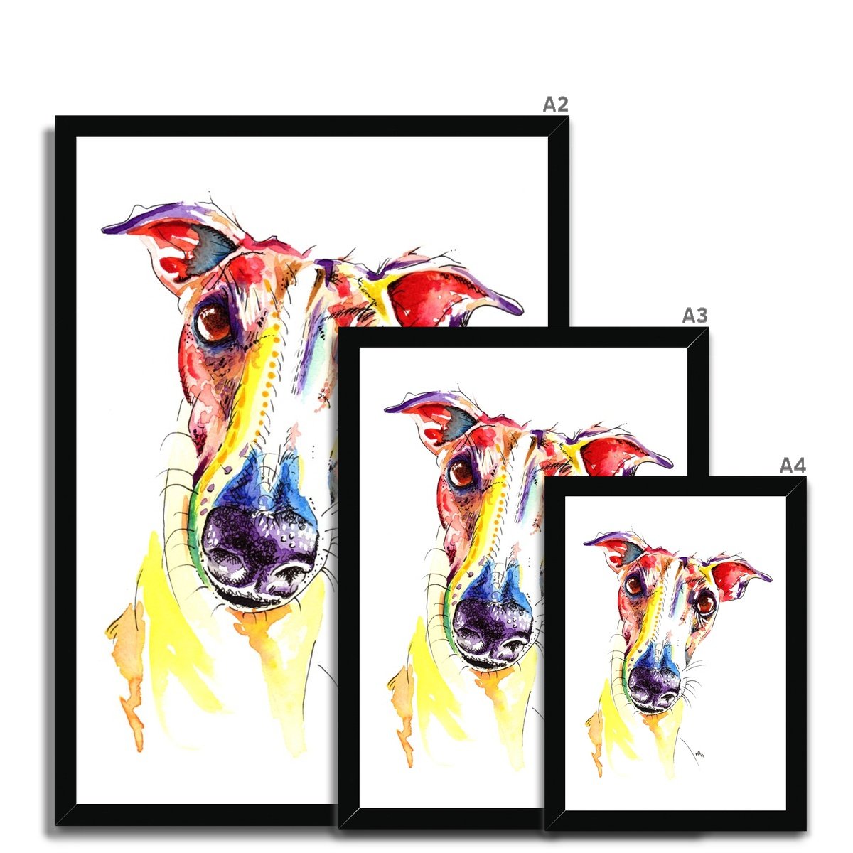 Framed Greyhound Prints - size guide