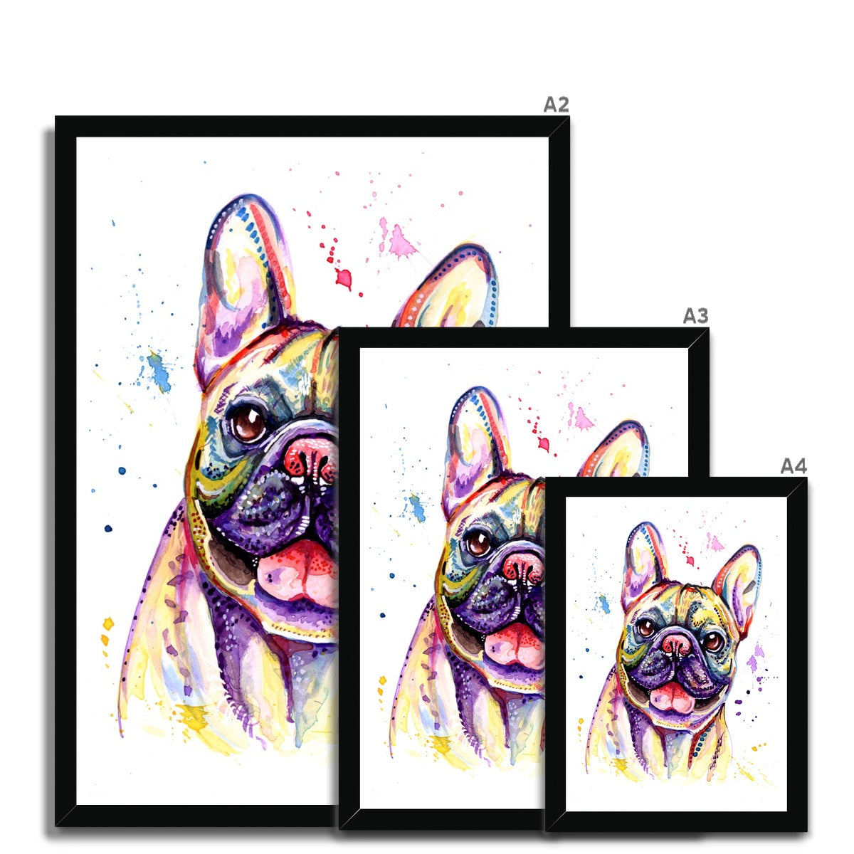 Framed French Bulldog Print size guide