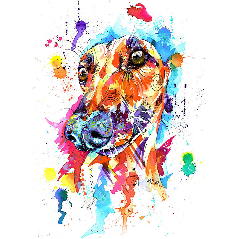 Greyhound Art Prints
