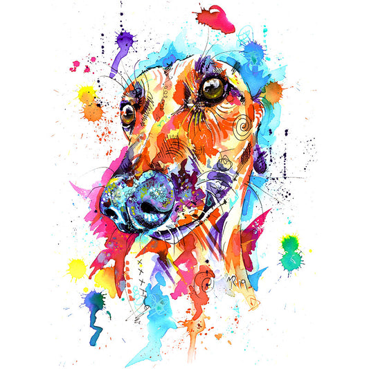 Greyhound Art Prints