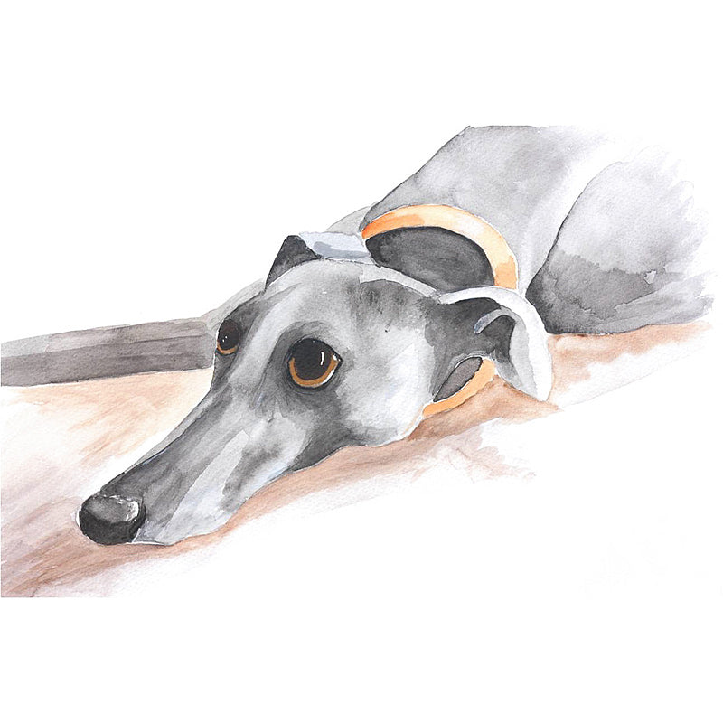 Greyhound art print painting