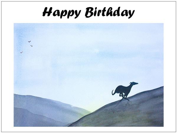 birthday cards greyhound whippet
