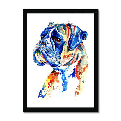Boxer Dog Framed Prints - 'Handsome Boy'