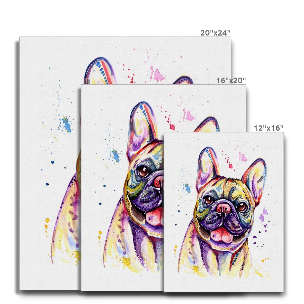 French Bulldog Canvasses size guides