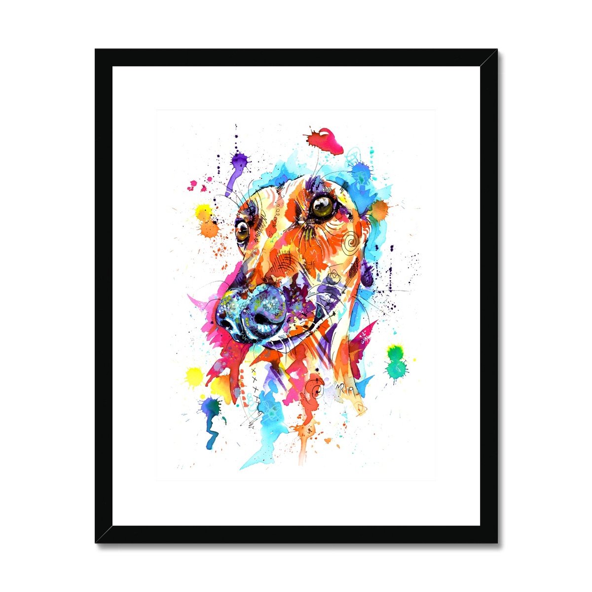 Greyhound Framed & Mounted Art Print