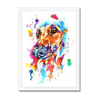 greyhound framed prints